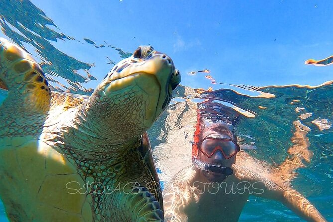 Daymaniyat island Natural Reserve and Dolphin Watching - First snorkeling stop: turtles, fish, and clear water