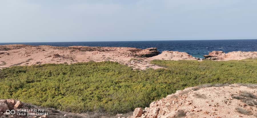 Daymaniyat Island: Snorkelling Tour with Tasty Lunch - How good is the equipment and safety support?