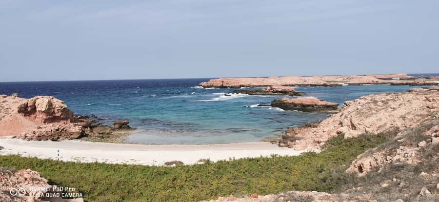 Daymaniyat Island: Snorkelling Tour with Tasty Lunch - Practical tips for a smoother morning