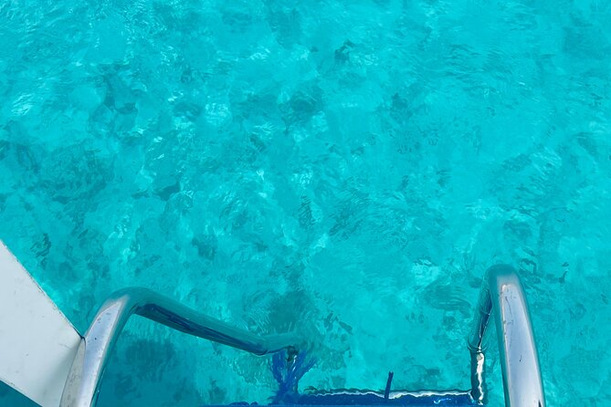 Daymaniyat Islands Snorkeling 2 different snorkeling sites and Lunch included - Who should book this outing?