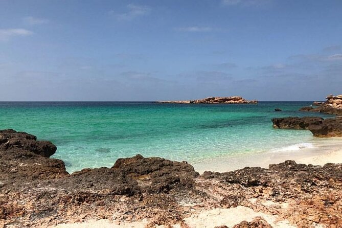 Daymaniyat Islands Snorkeling Half-Day Tour - Why the Daymaniyat Islands are worth your time