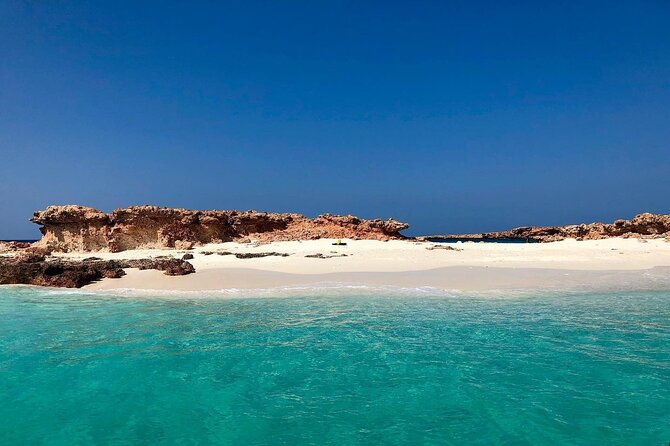Daymaniyat Islands Snorkeling Half-Day Tour - Gear, snacks, and the practical comforts