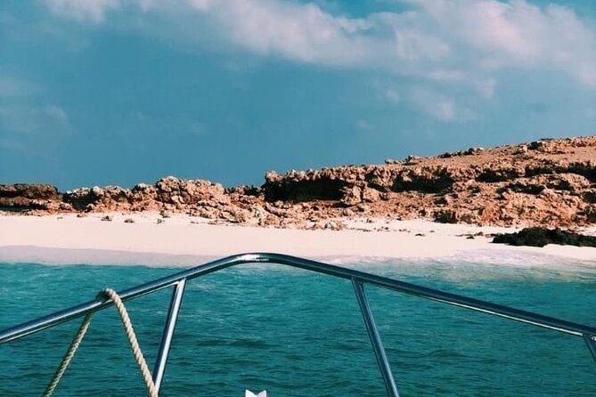 Daymaniyat Islands Snorkeling Half-Day Tour - Who will enjoy this trip most?