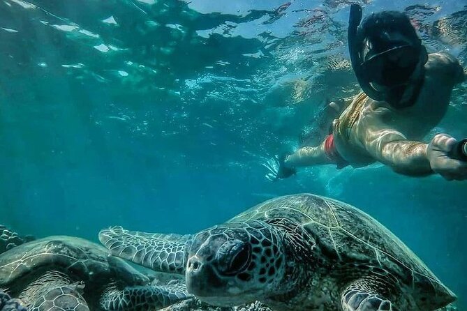 Daymaniyat Islands Snorkeling Half-Day Tour - Leaving Al Mouj Marina for the reserve