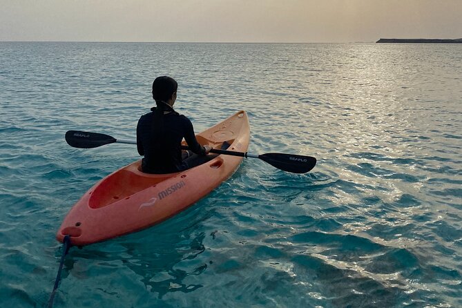 Daymaniyat Islands Snorkeling Sharing Trip - Leaving Muscat from Al Mouj Marina at 8:00 a.m.