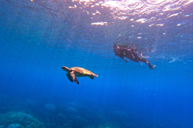 Daymaniyat Islands Snorkeling Sharing Trip - Is $106 a fair price?