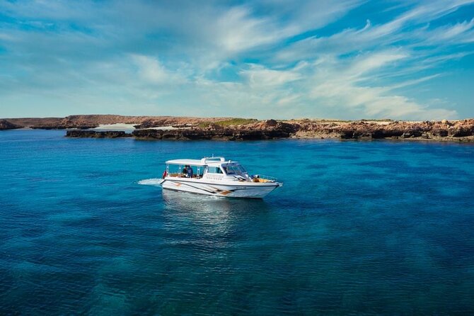 Daymaniyat Islands Snorkeling Sharing Trip - What to bring for a better morning