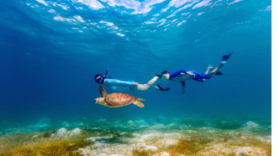 Daymaniyat Islands Snorkeling Small Group Turtles - Leaving Seeb Port for the Islands