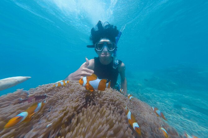 Daymaniyat Islands Snorkeling Tour - Island time, beach walks, and a chance to slow down