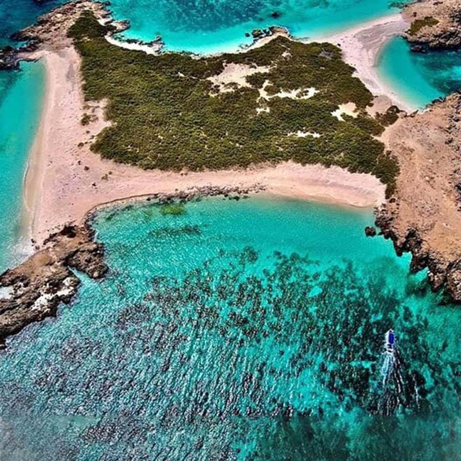 Daymaniyat Islands Snorkeling with Picnic Lunch - Picnic lunch, fruit, and the practical comforts
