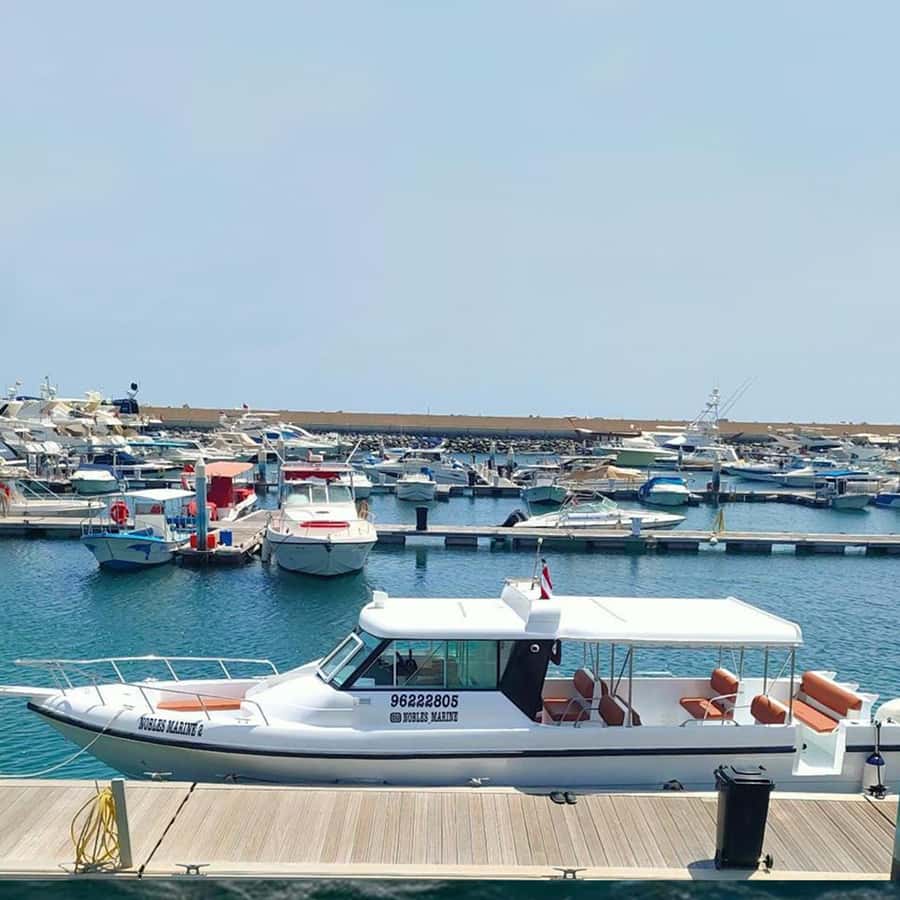 Daymaniyat Islands Snorkeling with Picnic Lunch - The second swim and return to Muscat