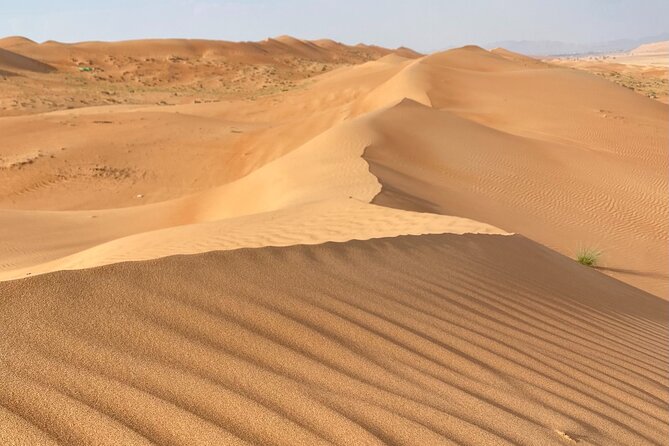 Desert Adventure with Off-Roading and Swimming in Wadi (Private). - Why this private desert day works