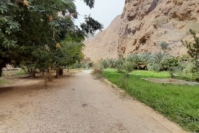 Desert Guided Overnight Camp Tour - Day One: Mountain Roads and Wadi Bani Khalid