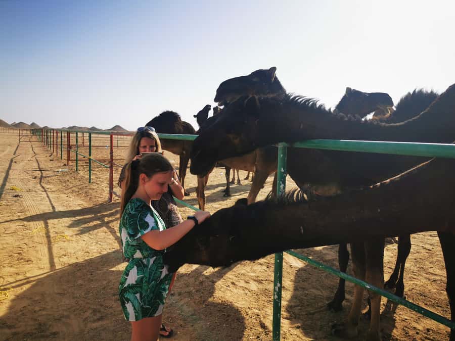 Desert Overnight Tour 1 VisitSalalah - A 12:30 pickup from Salalah