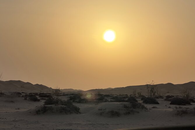 desert overnight tour in salalah - Wadi Dawkah and the trees behind Oman’s incense trade