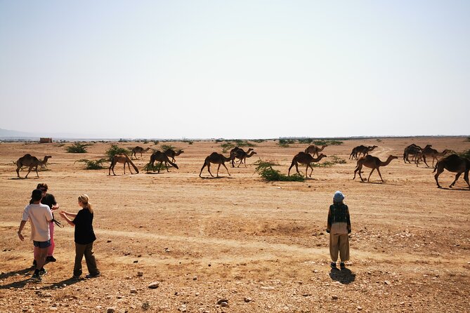 Desert Overnight Tour VisitSalalah - A private 4x4 and the value of $250