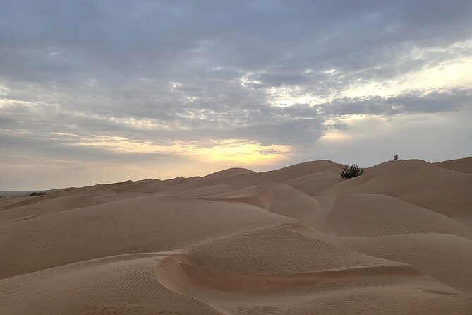 Desert Safari in Empty Quarter with Dune Bashing - Is $216 a fair price for this Salalah safari?