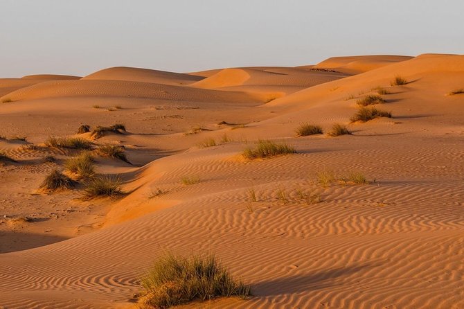 Desert Safari Private - Wahiba Sands: one hour in Oman’s great sea of sand