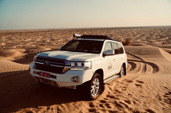 Desert Safari, Sunset & Sand Bashing (Rub Al Khali Desert) - Key points to know before booking