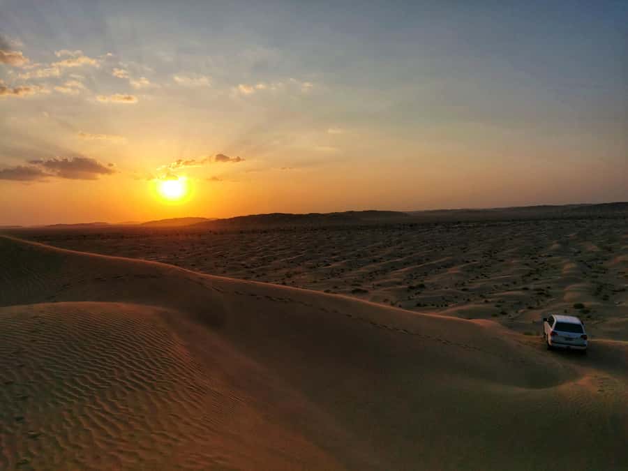 Desert Safari, Sunset & Sand Bashing (Rub Al Khali Desert) - Wadi Dawka and the frankincense trees