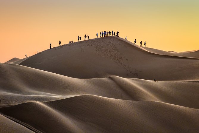Desert Safari Trip Full Day & Ubar Lost city - What the private format changes