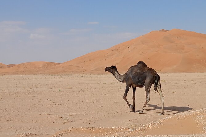 Desert Sunset Tour VisitSalalah - Is $140 a fair price?