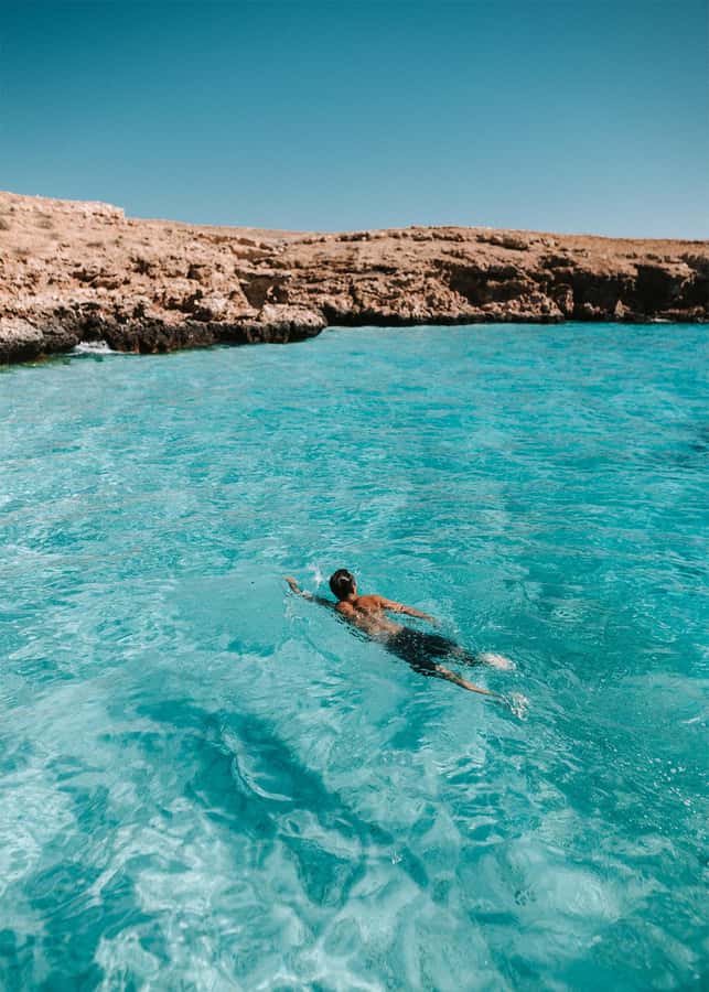 Dimaniyat Island Full Day Tour In Muscat - Quick points before you book