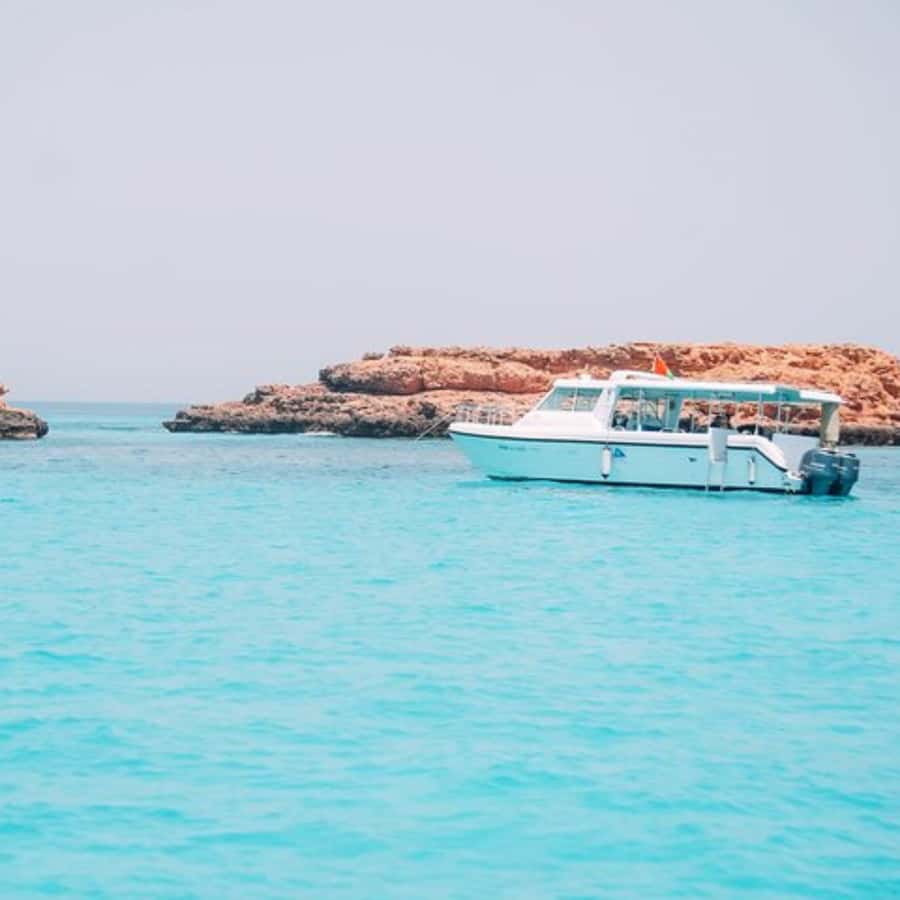 Dimaniyat Island Full Day Tour In Muscat - Twenty minutes of dolphin watching