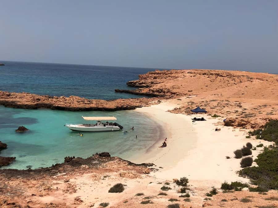 Dimaniyat Island Full Day Tour In Muscat - The 40-minute sailing to Dimaniyat