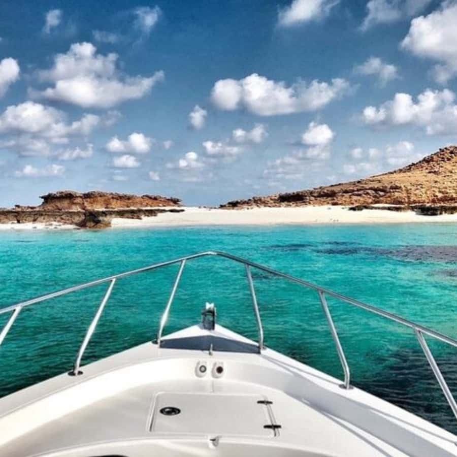 Dimaniyat Island Full Day Tour In Muscat - The return to Muscat