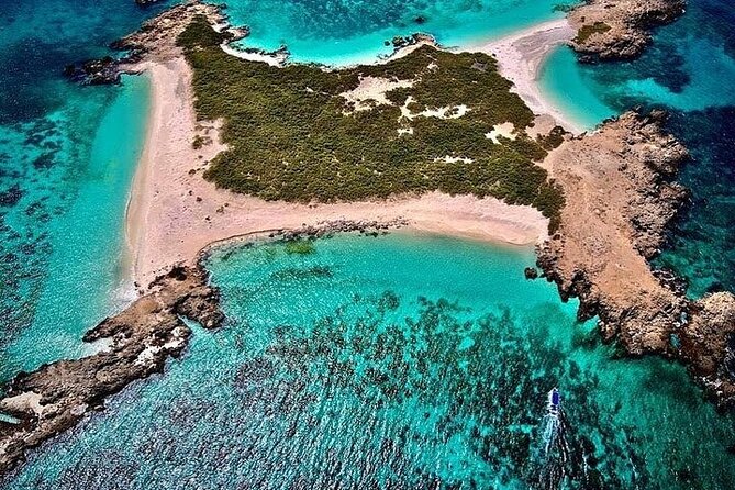 Dimaniyat Island Tour with Snorkeling - Dolphins, Swimming, and Marine Life