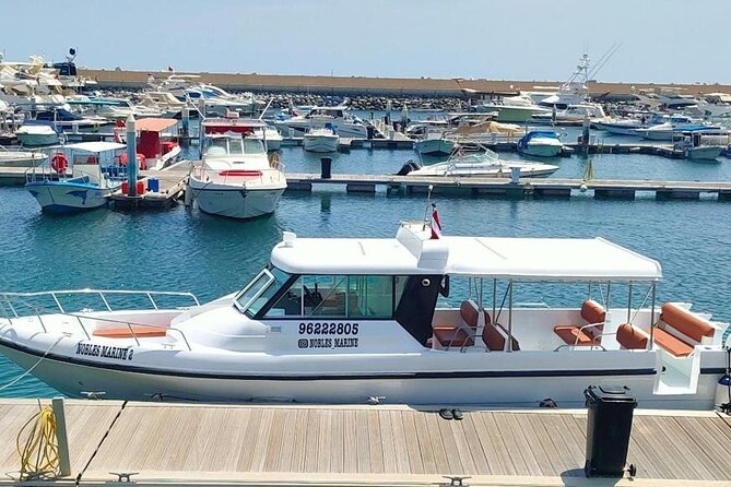 Dimaniyat Island Tour with Snorkeling - The Island Beach Stop