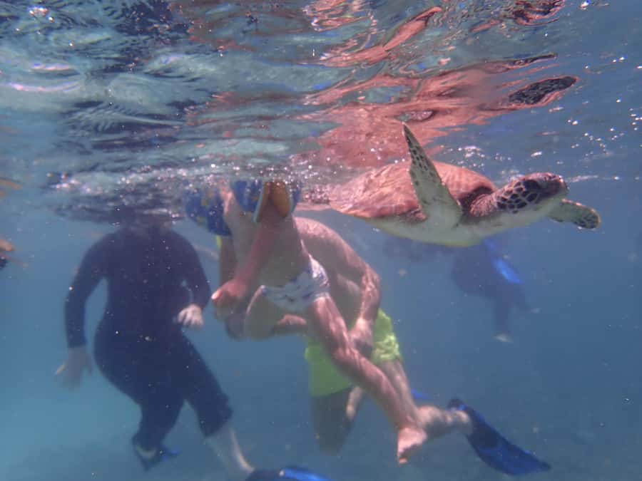 Dimaniyat Islands Snorkeling Trip - Key Things To Know Before You Go