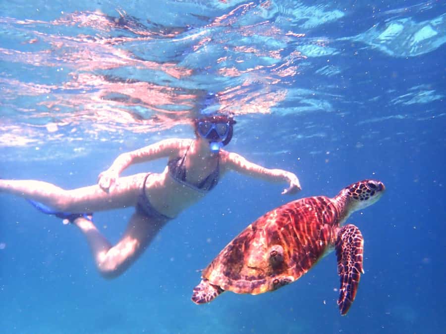 Dimaniyat Islands Snorkeling Trip - Who Will Enjoy This Trip Most