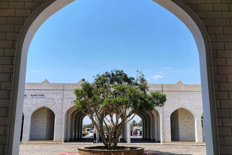 Discover Salalah City, History, Nature, Culture - Frankincense and the old port at Al Baleed