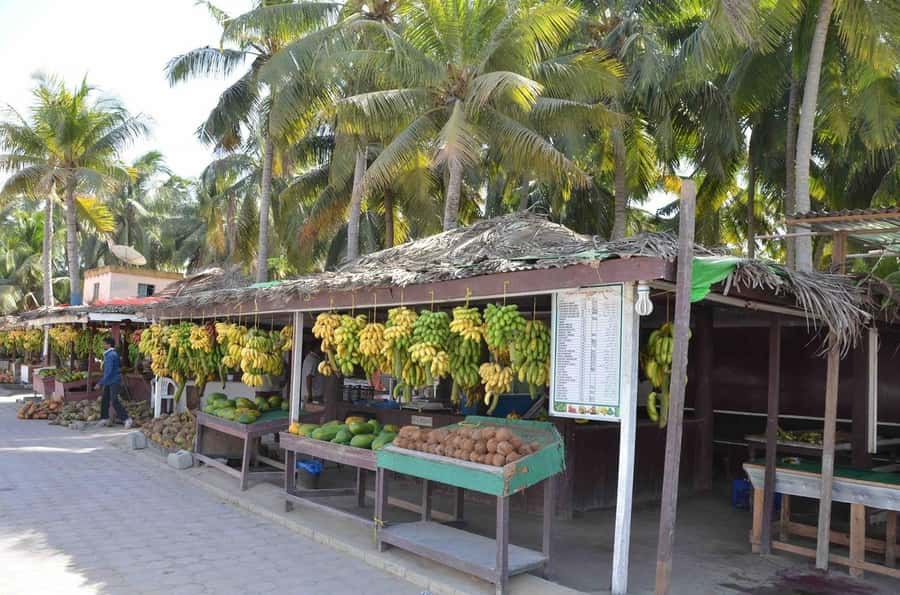 Discover Salalah City, History, Nature, Culture - The Museum of the Land of Frankincense