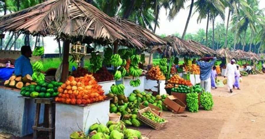 Discover Salalah City, History, Nature, Culture - Timing, comfort, and practical points