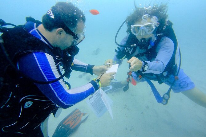Discover Scuba Diving from a Fishing Village - Who will enjoy this two-hour session