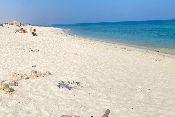Discover Wadi Shab by a Professional Omani Guide (private). - The swim to the waterfall cave