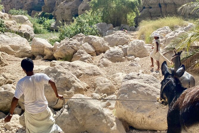 Discover Wadi Shab by a Professional Omani Guide (private). - Lunch in Tiwi: simple, local, and extra