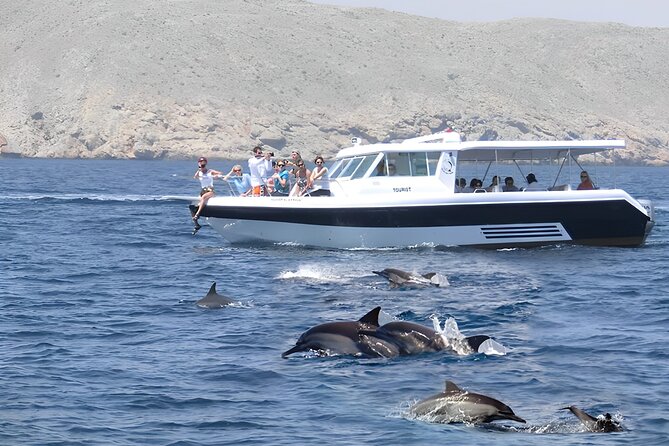 Dolphin Watching and Snorkeling Activity in Muscat - Key points at a glance