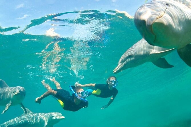 Dolphin Watching and Snorkeling Activity in Muscat - Snacks, drinks, and the practical value of $75
