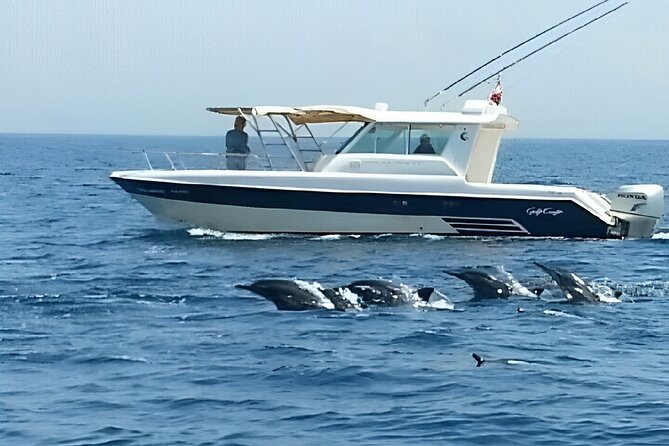 Dolphin Watching and Snorkeling Activity in Muscat - Weather, cancellations, and planning the day
