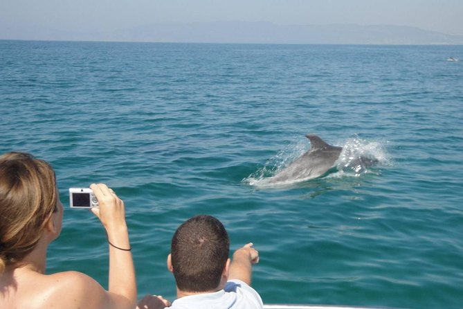 Dolphin Watching and Snorkeling Tour from Muscat - FAQ