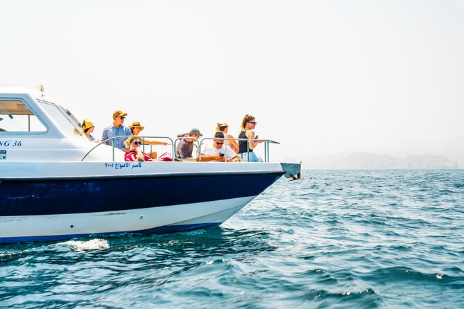 Dolphin Watching in Muscat - Key points at a glance