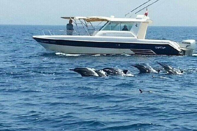 Dolphin Watching in Muscat - Who will enjoy this outing most?