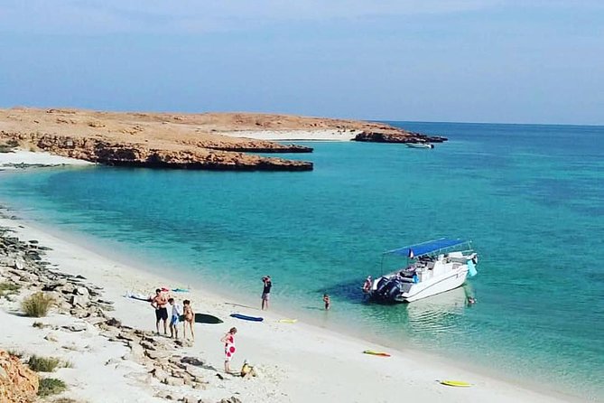 Dolphin Watching & Snorkeling - Five things to know before you book