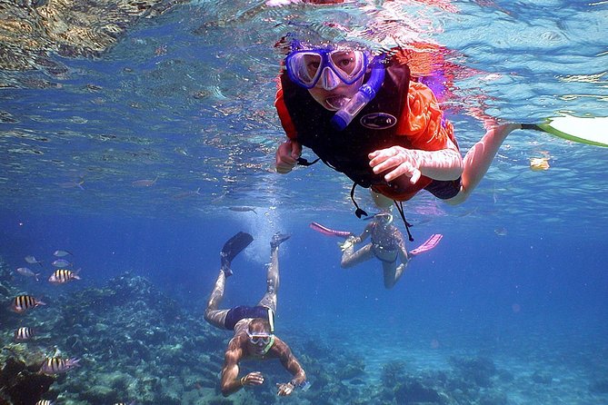 Dolphin Watching & Snorkeling - Small practical details that make a difference