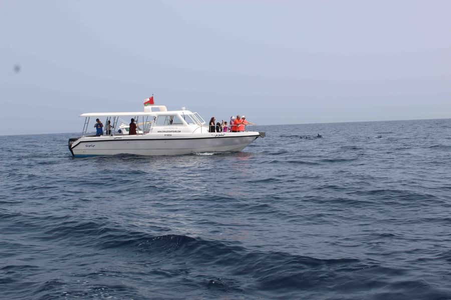 Dolphin Watching Tour - The first minutes: safety before open water