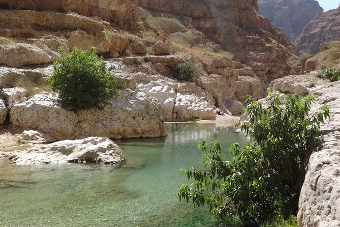 East Coast and Wadi Shab tour - Lunch in Tiwi keeps the day local